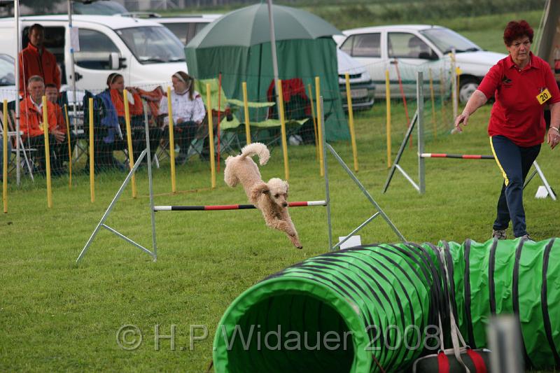 jubil.lusten. 036.jpg